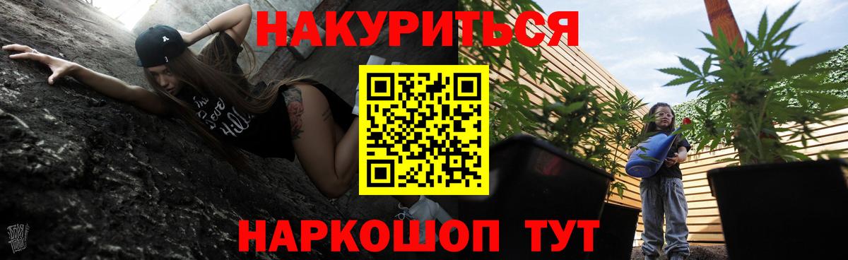 Конопля конопля Санкт-Петербург