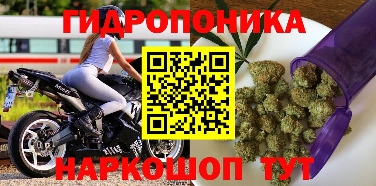 Конопля план  Канабис SATIVA & INDICA  Санкт-Петербург  МАРИХУАНА ГИДРОПОН  Вход с VPN 